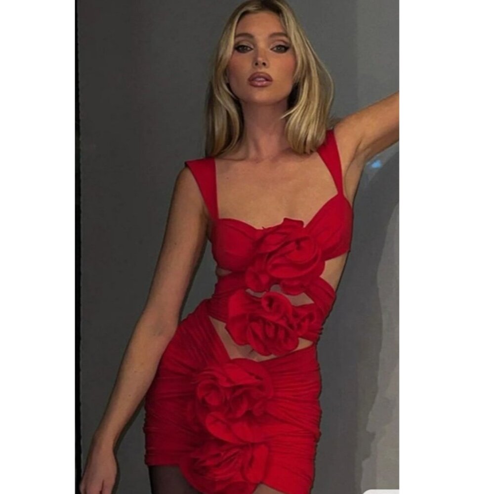 Sexy 3D Roses Glamorous Luxury Runway Party Outfit Bodysuit Body Top Skirt Dress